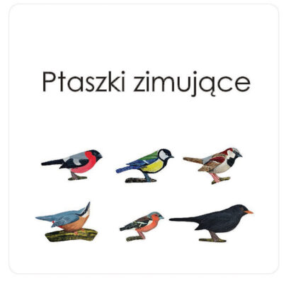 20 zestawów kart językowych na dobry start
