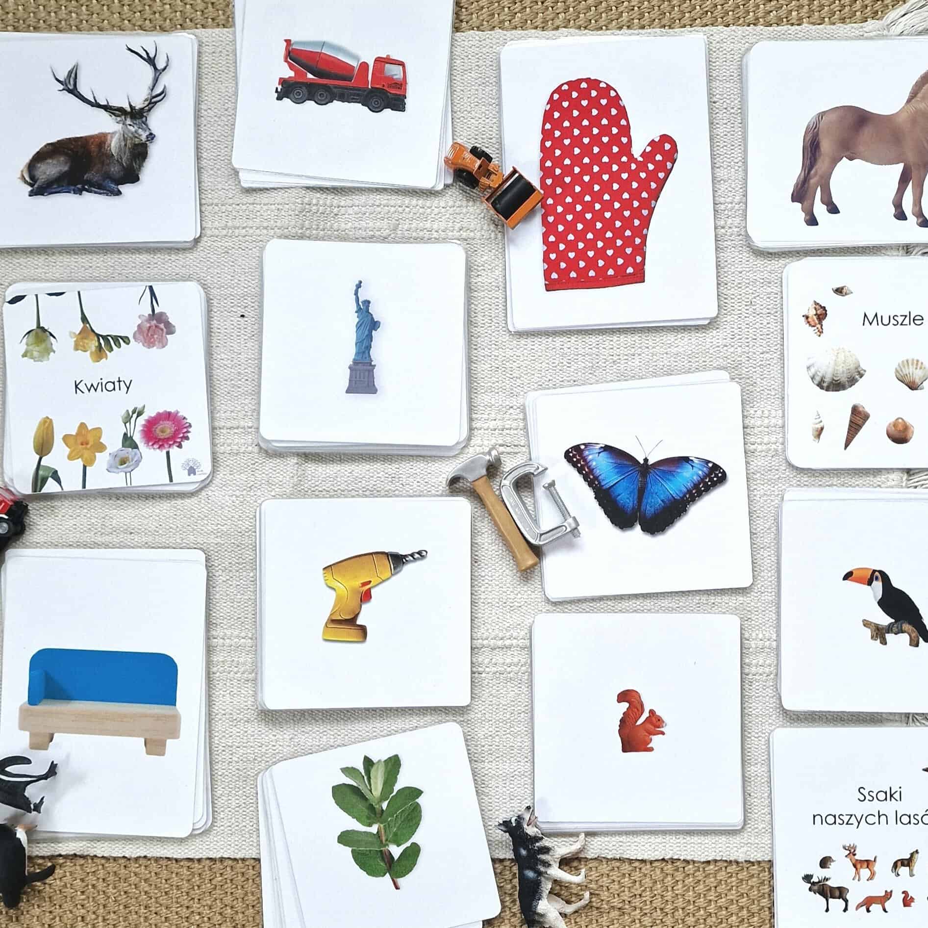 20 zestawów kart Montessori dla maluchów
